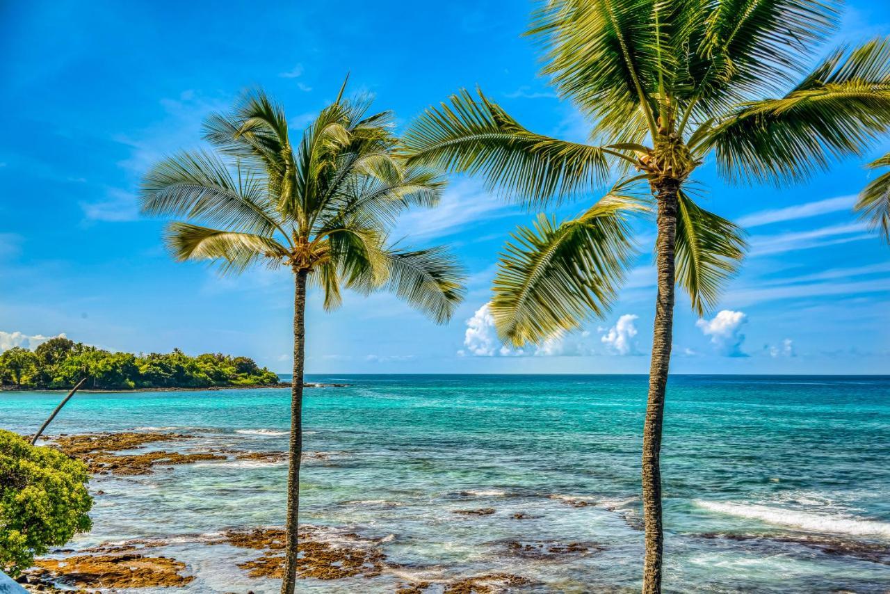 Kona Bali Kai #165 Hotel Kailua-Kona Eksteriør billede